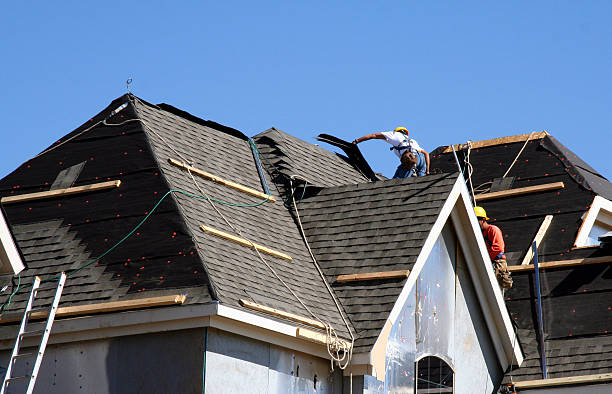 Best Storm Damage Roof Repair  in Edburgh, IN