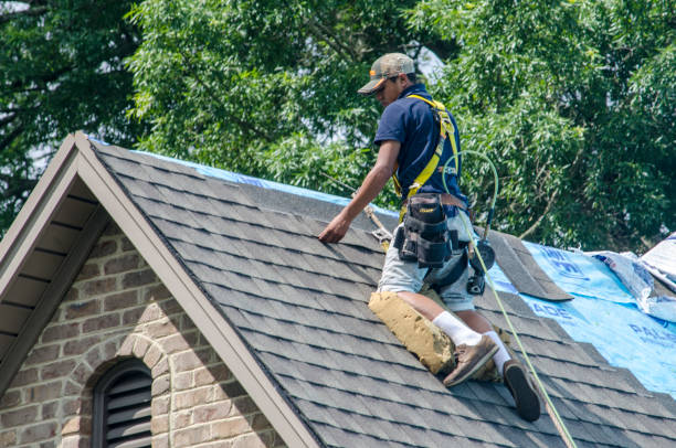 Best Shingle Roofing Installation  in Edburgh, IN